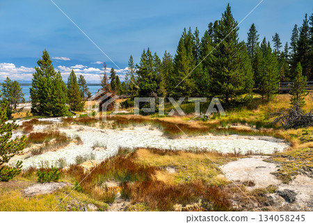 Geothermal pool with white sinter rim sits among pine trees in Yellowstone National Park, Wyoming, USA. Scenic landscape features Yellowstone Lake background in UNESCO World Heritage site Geothermal pool with white sinter rim sits among pine trees in Yellowstone National Park, Wyoming, USA. Scenic landscape features Yellowstone Lake background in UNESCO World Heritage site 134058245