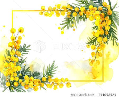 含羞草方形邊框水彩插圖 134058524