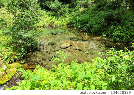 [岡山縣] 鹽釜冷泉 134058529