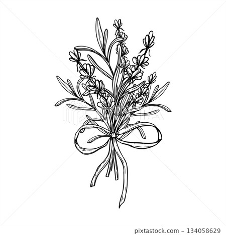 Monochrome Lavender or rosemary flowers bouquet tied ribbon vector isolated illustration. Aromatic blooming herbs line art black ink sketch. For wedding invitations, spa and wellness herbal product Monochrome Lavender or rosemary flowers bouquet tied ribbon vector isolated illustration. Aromatic blooming herbs line art black ink sketch. For wedding invitations, spa and wellness herbal product 134058629