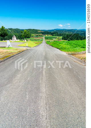 Uehara Cosmos Garden, Straight Road, Yoshihira, Uonuma City, Niigata Prefecture 134058699