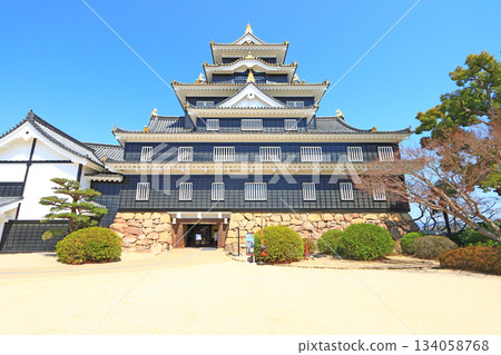岡山縣岡山市岡山城風景 134058768