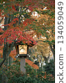 五顏六色的秋葉 134059049
