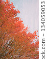 五顏六色的秋葉 134059053