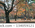 五顏六色的秋葉 134059121