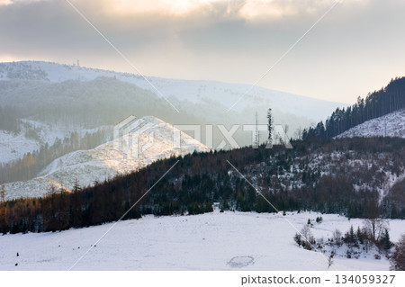 winter landscape with snow covered forested hills. carpathian mountains in cold weather under blue sky. rural scene on a sunny day. background for christmas holidays in alpine region of ukraine winter landscape with snow covered forested hills. carpathian mountains in cold weather under blue sky. rural scene on a sunny day. background for christmas holidays in alpine region of ukraine 134059327