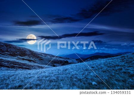 landscape with grassy meadow at night. mountain scenery in summer in full moon light. travel background. background for investment or abstract concepts. beauty in nature of green alpine environment 134059331