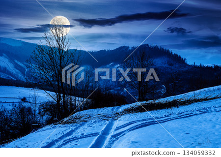 winter landscape with snow covered forested hills at night. mountains in cold weather in full moon light. rural scene. christmas holidays in alpine region. backdrop for fiction art or mystery concepts 134059332