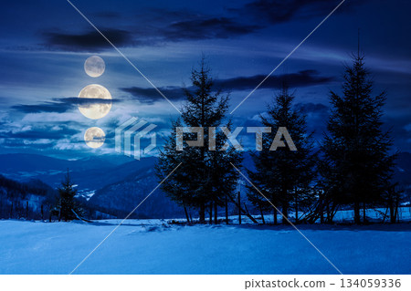 fir trees on the snowy meadow in winter at night. alpine countryside scenery in mountains in full moon light. wonderful weather with clouds on a sky. background for fake news or conspiracy concepts 134059336