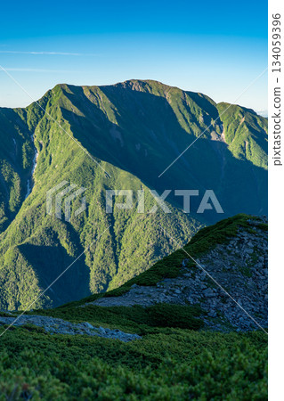 從攀登赤石山的登山道上可以看到聖山（前聖山和奧聖山）及其晨曦山。攀登南阿爾卑斯山的赤石山。 134059396