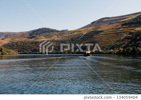 Boat travel sailing on Douro river near terraced vineyards in Portugal 134059404