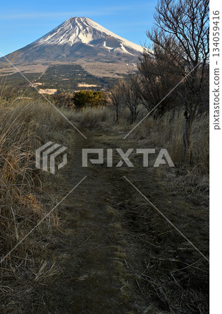 Mount Echizen in the Ashitaka Mountains: Mount Fuji seen from the morning mountain path 134059416