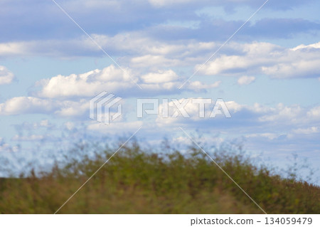 草原景觀與天空 134059479