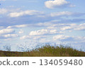 草原景觀與天空 134059480