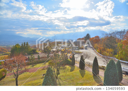 Yamanashi Prefecture: Autumn leaves in vineyards and the Kofu Basin 134059593