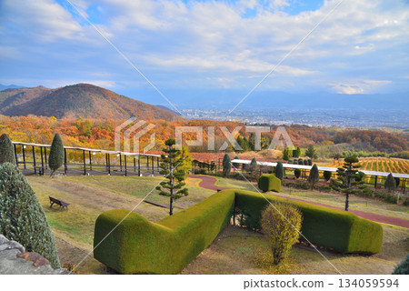 Yamanashi Prefecture: Autumn leaves in vineyards and the Kofu Basin 134059594