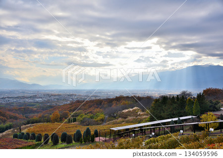 Yamanashi Prefecture: Autumn leaves in vineyards and the Kofu Basin 134059596