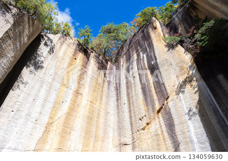 宇裡堀岩石花園公園的岩壁 134059630