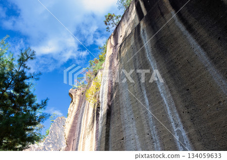 宇裡堀岩石花園公園的岩壁 134059633