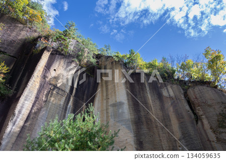 宇裡堀岩石花園公園的岩壁 134059635