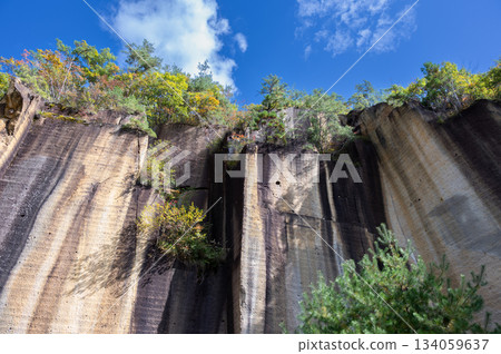 宇裡堀岩石花園公園的岩壁 134059637