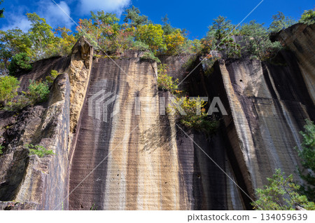 宇裡堀岩石花園公園的岩壁 134059639