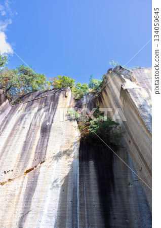 宇裡堀岩石花園公園的岩壁 134059645