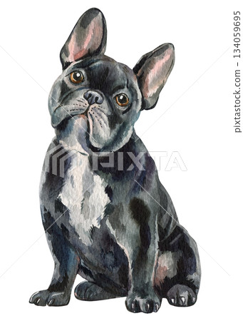 French bulldog dog watercolor black sitting portrait on white background cute puppy art for kids room decor 134059695