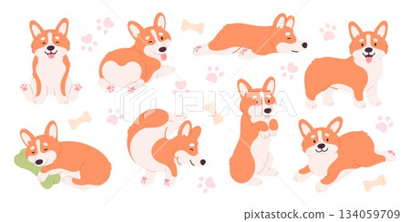 Corgi characters. Positive puppies various poses, walking, running and sleeping. Funny puppy sitting, dog sleep on pillow, relaxing pose, racy vector clipart 134059709