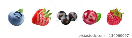 Realistic isolated berries. 3d forest berry mix, blackcurrant blueberry blackberry raspberry strawberry cranberry sweet fruit nature healthy food garden plant vector illustration Realistic isolated berries. 3d forest berry mix, blackcurrant blueberry blackberry raspberry strawberry cranberry sweet fruit nature healthy food garden plant vector illustration 134060097