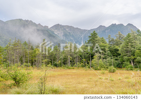 Kamikochi Nature Trail: Forest Walking, Looking up at the Hotaka Mountain Range from Tashiro Marsh 134060143