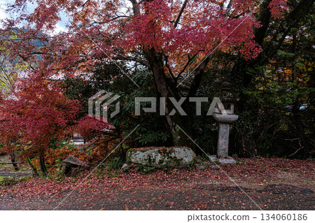 Poem of the crimson stone lantern in Ohara, Kyoto Prefecture Poem of the crimson stone lantern in Ohara, Kyoto Prefecture 134060186