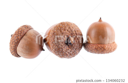 Acorn oak isolated on white background. Ripe brown acorns. Clipping path. Acorn oak isolated on white background. Ripe brown acorns. Clipping path. 134060232