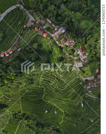 Overhead View Of Verdant Agricultural Terraces With Winding Roads Overhead View Of Verdant Agricultural Terraces With Winding Roads 134060555