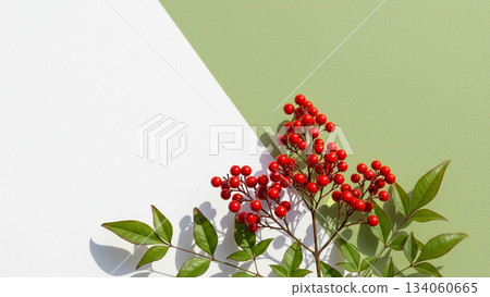 A minimalist Japanese-style winter image featuring nandina berries and leaves A minimalist Japanese-style winter image featuring nandina berries and leaves 134060665
