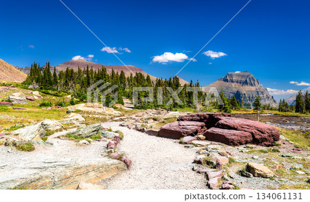 Hiking trail winds past red argillite rocks toward Going-to-the-Sun Mountain in Glacier National Park, Montana. Scenic alpine landscape features green pine trees in UNESCO World Heritage site Hiking trail winds past red argillite rocks toward Going-to-the-Sun Mountain in Glacier National Park, Montana. Scenic alpine landscape features green pine trees in UNESCO World Heritage site 134061131