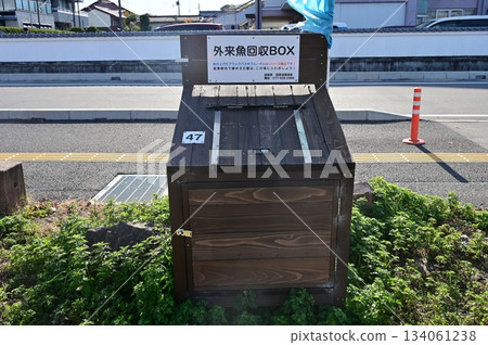 外來魚類收集盒(滋賀縣彥根市) 外來魚類收集盒(滋賀縣彥根市) 134061238