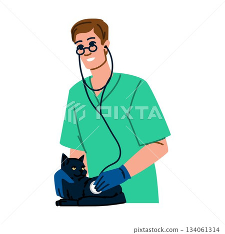 Veterinarian checking patient cat with stethoscope in clinic 134061314