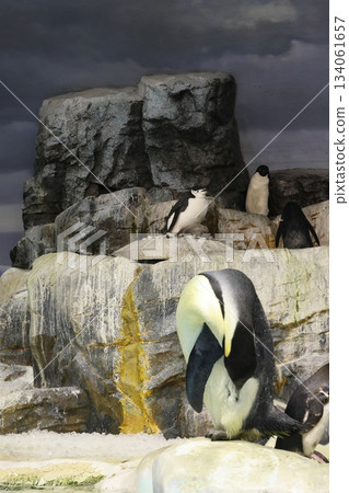 名古屋港水族館 134061657