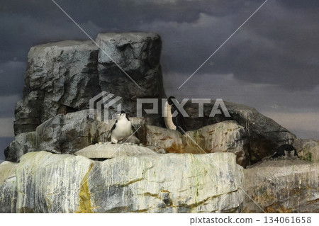 名古屋港水族館 134061658