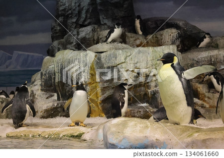 名古屋港水族館 134061660