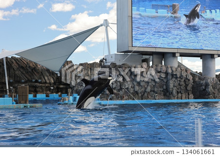名古屋港水族館 名古屋港水族館 134061661