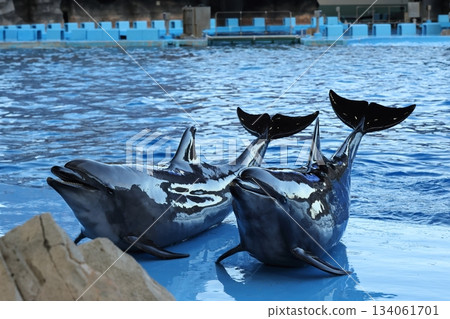 Port of Nagoya Public Aquarium  134061701