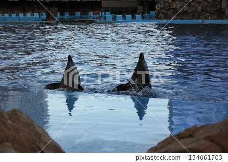 Port of Nagoya Public Aquarium  134061703