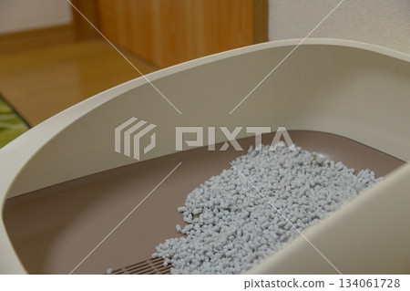 Cat litter and paper litter Cat litter and paper litter 134061728