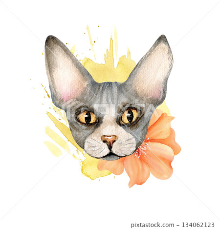 Sphynx cat with orange flower on light yellow watercolor spot. Sphinx head animal with peony. Cute floral kitty character. Spring illustration isolated from background in fashion style, clip art 134062123