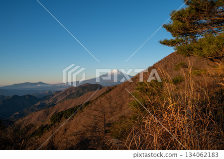 Mount Tono and Mount Tanzawa, Kanagawa Prefecture 134062183