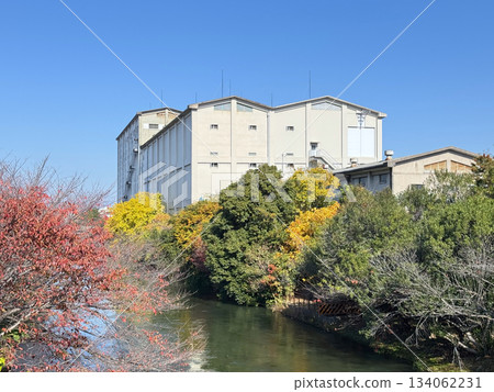 堀川河以及月桂冠和昭倉大廈(京都市伏見區) 堀川河以及月桂冠和昭倉大廈(京都市伏見區) 134062231