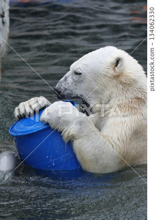 Higashiyama Zoo and Botanical G 134062330