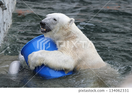 Higashiyama Zoo and Botanical G 134062331